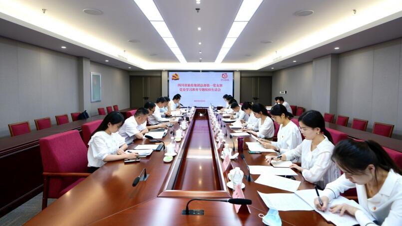 尊龙凯时集团党委书记、董事长任丁参加总部第一党支部党史学习教育专题组织生活会