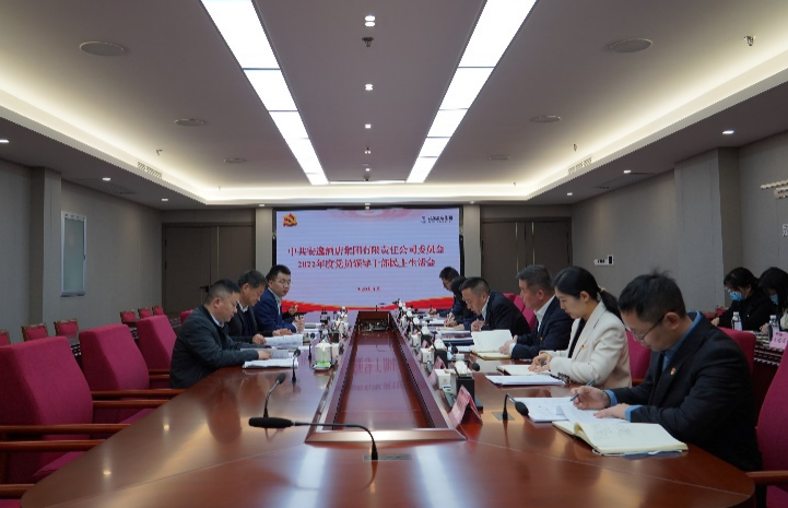 尊龙凯时集团党委书记、董事长任丁出席安逸酒店集团2022年度党员领导干部民主生活会